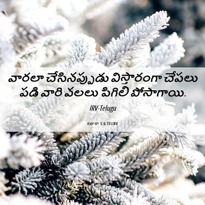 Picture 06 - లూకా 5:6 TELIRV - వారలా చేసినప్పుడు - Bible Verse Picture