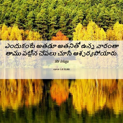 Picture 06 - లూకా 5:9 TELIRV - ఎందుకంటే అతడూ - Bible Verse Picture