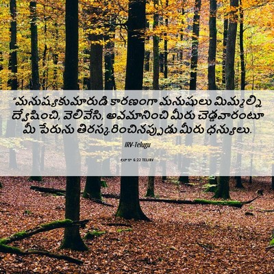 Picture 06 - లూకా 6:22 TELIRV - “మనుష్యకుమారుడి - Bible Verse Picture