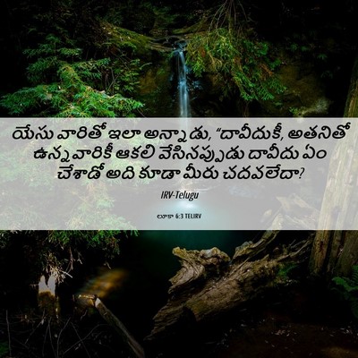 Picture 06 - లూకా 6:3 TELIRV - యేసు వారితో ఇలా - Bible Verse Picture