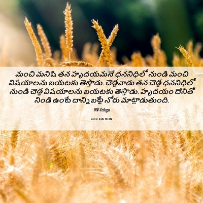 Picture 06 - లూకా 6:45 TELIRV - మంచి మనిషి తన - Bible Verse Picture