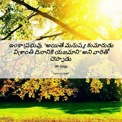 Picture 06 - లూకా 6:5 TELIRV - ఇంకా ప్రభువు, - Bible Verse Picture