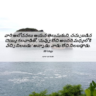Picture 06 - లూకా 6:8 TELIRV - వారి ఆలోచనలు ఆయన - Bible Verse Picture