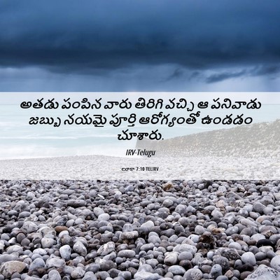 Picture 06 - లూకా 7:10 TELIRV - అతడు పంపిన వారు - Bible Verse Picture