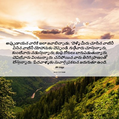 Picture 06 - లూకా 7:22 TELIRV - అప్పుడాయన వారికి - Bible Verse Picture
