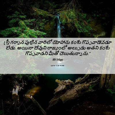 Picture 06 - లూకా 7:28 TELIRV - స్త్రీ గర్భాన - Bible Verse Picture