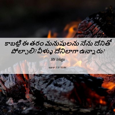 Picture 06 - లూకా 7:31 TELIRV - కాబట్టి ఈ తరం - Bible Verse Picture