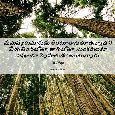 Picture 06 - లూకా 7:34 TELIRV - మనుష్య కుమారుడు - Bible Verse Picture