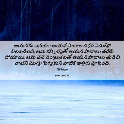 Picture 06 - లూకా 7:38 TELIRV - ఆయనకు వెనుకగా ఆయన - Bible Verse Picture
