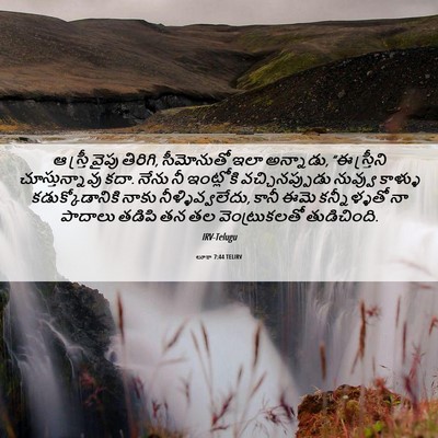 Picture 06 - లూకా 7:44 TELIRV - ఆ స్త్రీ వైపు - Bible Verse Picture