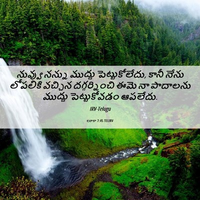 Picture 06 - లూకా 7:45 TELIRV - నువ్వు నన్ను - Bible Verse Picture