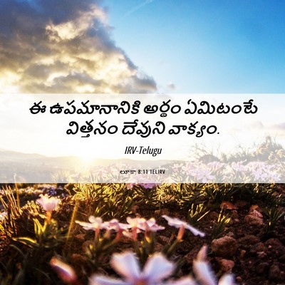 Picture 06 - లూకా 8:11 TELIRV - ఈ ఉపమానానికి - Bible Verse Picture