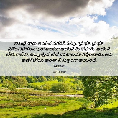 Picture 06 - లూకా 8:24 TELIRV - కాబట్టి వారు ఆయన - Bible Verse Picture
