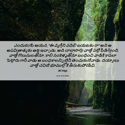 Picture 06 - లూకా 8:29 TELIRV - ఎందుకంటే ఆయన, “ఈ - Bible Verse Picture