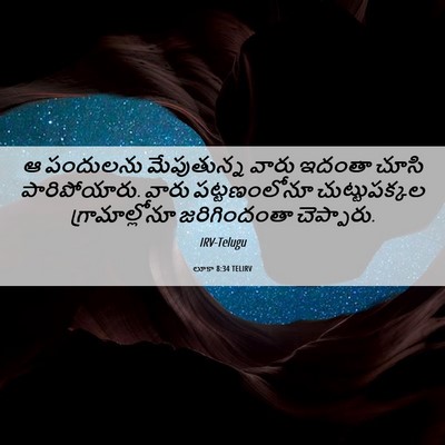 Picture 06 - లూకా 8:34 TELIRV - ఆ పందులను - Bible Verse Picture