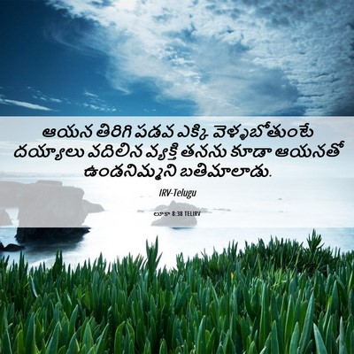 Picture 06 - లూకా 8:38 TELIRV - ఆయన తిరిగి పడవ - Bible Verse Picture