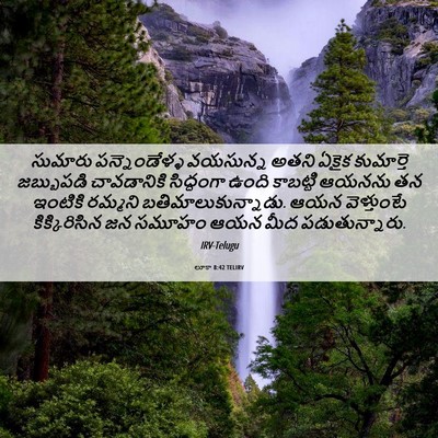 Picture 06 - లూకా 8:42 TELIRV - సుమారు - Bible Verse Picture