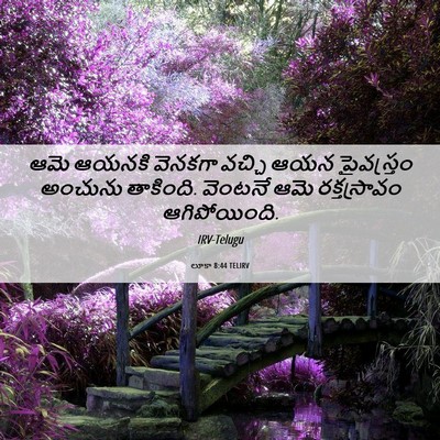 Picture 06 - లూకా 8:44 TELIRV - ఆమె ఆయనకి వెనకగా - Bible Verse Picture