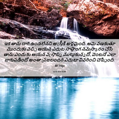 Picture 06 - లూకా 8:47 TELIRV - ఇక తాను దాగి - Bible Verse Picture