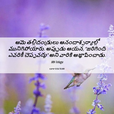 Picture 06 - లూకా 8:56 TELIRV - ఆమె తల్లిదండ్రులు - Bible Verse Picture