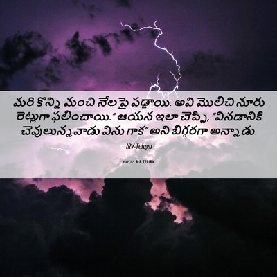 Picture 06 - లూకా 8:8 TELIRV - మరి కొన్ని మంచి - Bible Verse Picture