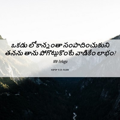 Picture 06 - లూకా 9:25 TELIRV - ఒకడు లోకాన్నంతా - Bible Verse Picture