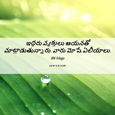 Picture 06 - లూకా 9:30 TELIRV - ఇద్దరు వ్యక్తులు - Bible Verse Picture