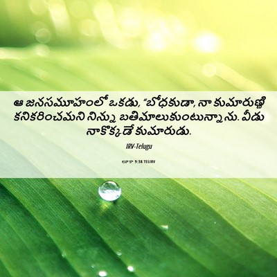 Picture 06 - లూకా 9:38 TELIRV - ఆ జనసమూహంలో ఒకడు, - Bible Verse Picture