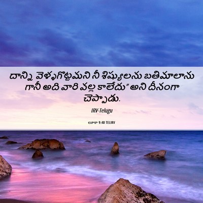 Picture 06 - లూకా 9:40 TELIRV - దాన్ని - Bible Verse Picture
