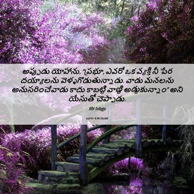 Picture 06 - లూకా 9:49 TELIRV - అప్పుడు యోహాను, - Bible Verse Picture