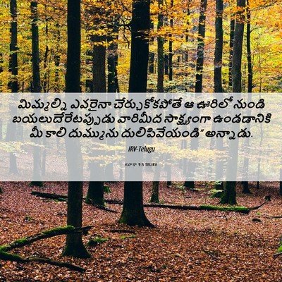 Picture 06 - లూకా 9:5 TELIRV - మిమ్మల్ని ఎవరైనా - Bible Verse Picture