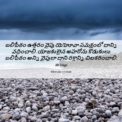 Picture 06 - లేవీకాండం 1:11 TELIRV - బలిపీఠం ఉత్తరం - Bible Verse Picture