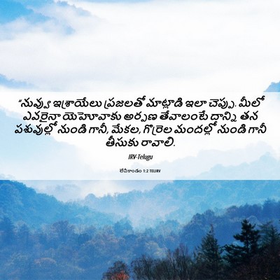 Picture 06 - లేవీకాండం 1:2 TELIRV - “నువ్వు ఇశ్రాయేలు - Bible Verse Picture