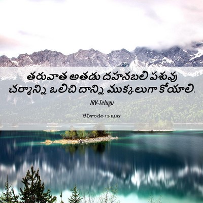 Picture 06 - లేవీకాండం 1:6 TELIRV - తరువాత అతడు - Bible Verse Picture
