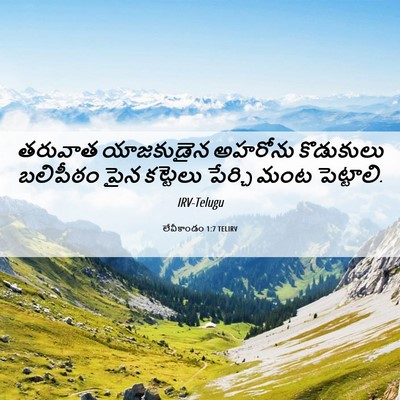 Picture 06 - లేవీకాండం 1:7 TELIRV - తరువాత యాజకుడైన - Bible Verse Picture