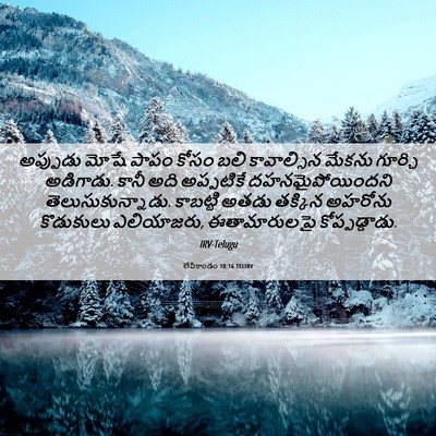 Picture 06 - లేవీకాండం 10:16 TELIRV - అప్పుడు మోషే పాపం - Bible Verse Picture
