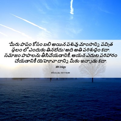Picture 06 - లేవీకాండం 10:17 TELIRV - “మీరు పాపం కోసం - Bible Verse Picture