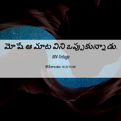Picture 06 - లేవీకాండం 10:20 TELIRV - మోషే ఆ మాట విని - Bible Verse Picture