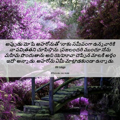 Picture 06 - లేవీకాండం 10:3 TELIRV - అప్పుడు మోషే - Bible Verse Picture
