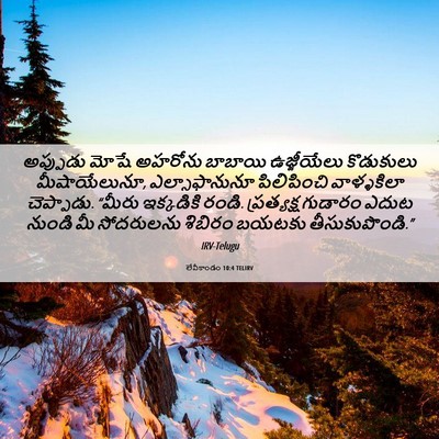 Picture 06 - లేవీకాండం 10:4 TELIRV - అప్పుడు మోషే - Bible Verse Picture