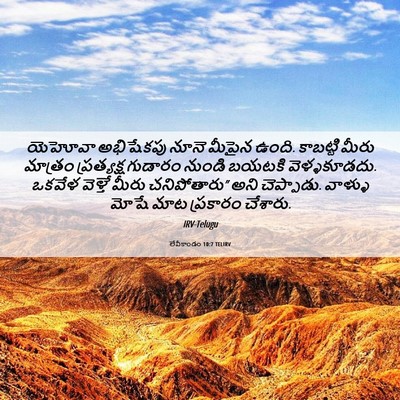 Picture 06 - లేవీకాండం 10:7 TELIRV - యెహోవా అభిషేకపు - Bible Verse Picture