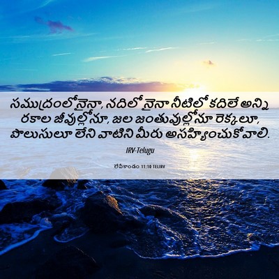 Picture 06 - లేవీకాండం 11:10 TELIRV - సముద్రంలోనైనా, - Bible Verse Picture