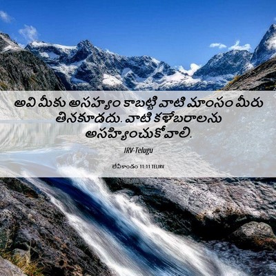 Picture 06 - లేవీకాండం 11:11 TELIRV - అవి మీకు అసహ్యం - Bible Verse Picture