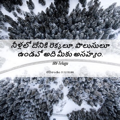 Picture 06 - లేవీకాండం 11:12 TELIRV - నీళ్లలో దేనికి - Bible Verse Picture