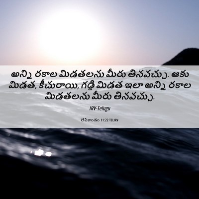Picture 06 - లేవీకాండం 11:22 TELIRV - అన్ని రకాల - Bible Verse Picture