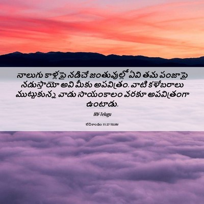 Picture 06 - లేవీకాండం 11:27 TELIRV - నాలుగు కాళ్లపై - Bible Verse Picture