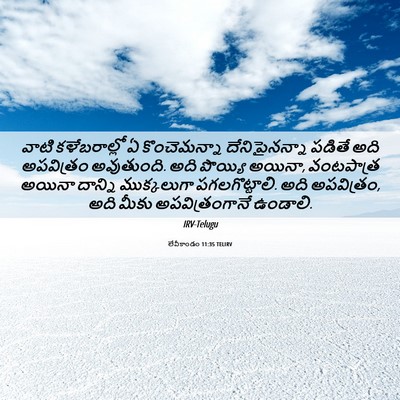 Picture 06 - లేవీకాండం 11:35 TELIRV - వాటి కళేబరాల్లో ఏ - Bible Verse Picture