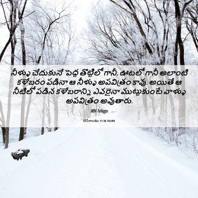 Picture 06 - లేవీకాండం 11:36 TELIRV - నీళ్ళు చేదుకునే - Bible Verse Picture