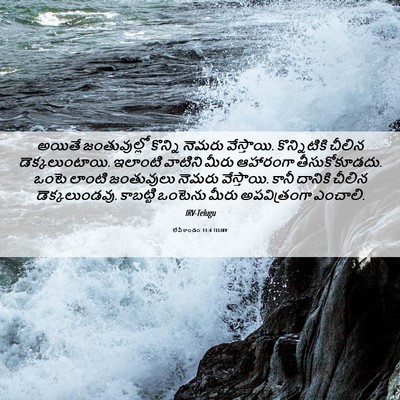 Picture 06 - లేవీకాండం 11:4 TELIRV - అయితే జంతువుల్లో - Bible Verse Picture