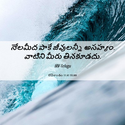 Picture 06 - లేవీకాండం 11:41 TELIRV - నేలమీద పాకే - Bible Verse Picture